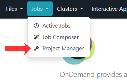 ProjectManagerLocation